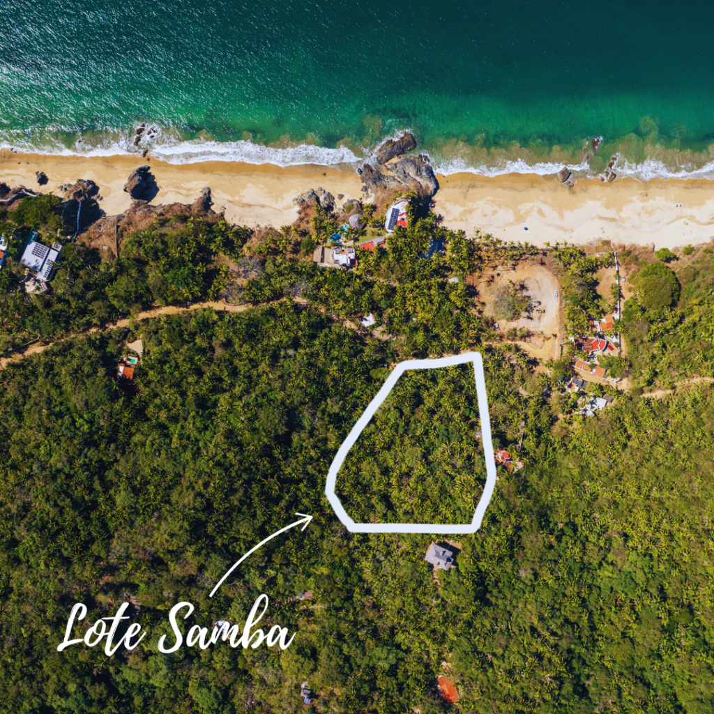 Lote-Samba-San-Pancho Lote Samba main